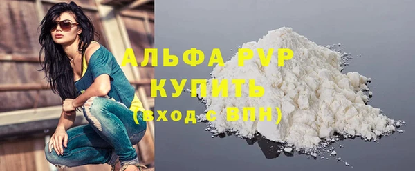 твердый Сясьстрой