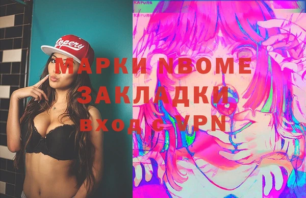 твердый Сясьстрой