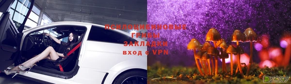 твердый Сясьстрой