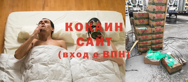 твердый Сясьстрой