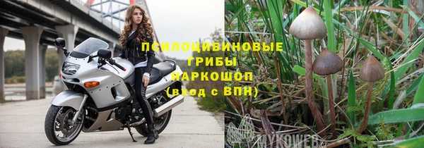 твердый Сясьстрой