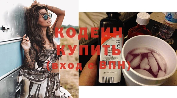 твердый Сясьстрой