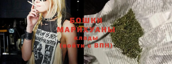 твердый Сясьстрой