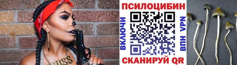 Галлюциногенные грибы Psilocybine cubensis  дарк нет официальный сайт  Магнитогорск 