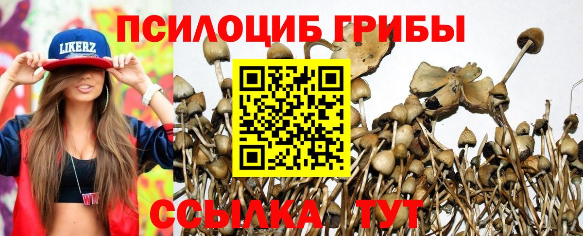 Псилоцибиновые грибы мицелий Магнитогорск