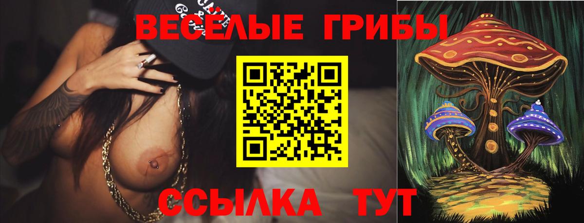 Псилоцибиновые грибы Psilocybine cubensis  Псилоцибиновые грибы Psilocybe  Магнитогорск  купить закладку  Вход с VPN 